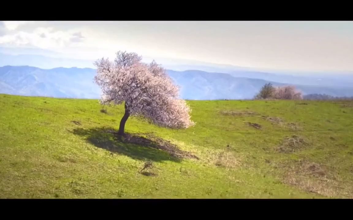 [图]做个在时光中慢慢盛开的人，见识了生活的凌厉，却依然内心平静向暖，拥有一份简单，便会恬淡安然。