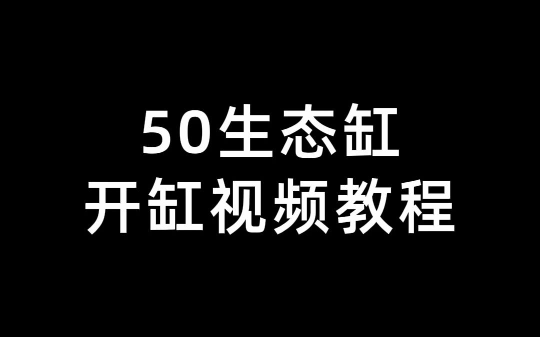 50长型款生态溪流水景缸造景使用视频哔哩哔哩bilibili