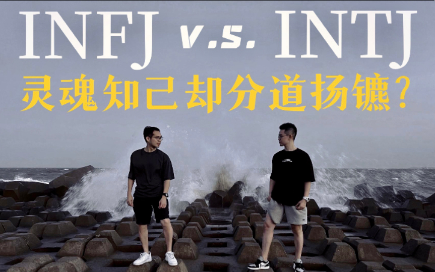 【MBTI+荣格八维】INFJ和INTJ是知己还是陌路？全方位人格分析两者羁绊！-骨哥说-骨哥说-哔哩哔哩视频