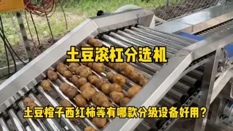 Video herunterladen: 内蒙古现场使用的土豆分选机，也可以分级西红柿橙子等水果。每小时分选4吨，分级均匀效率高。