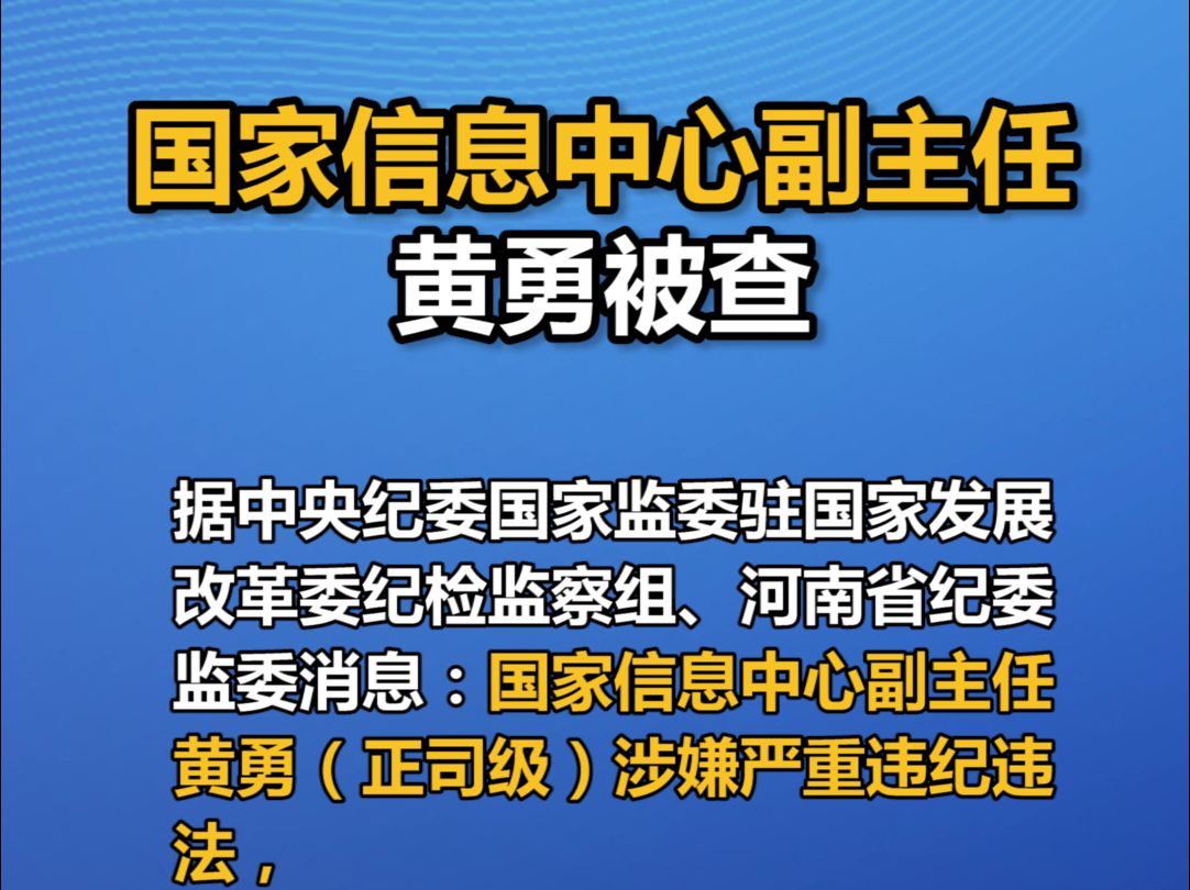 国家信息中心副主任黄勇被查哔哩哔哩bilibili