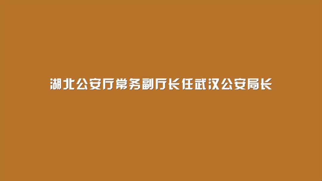 湖北公安厅常务副厅长,任武汉公安局长哔哩哔哩bilibili