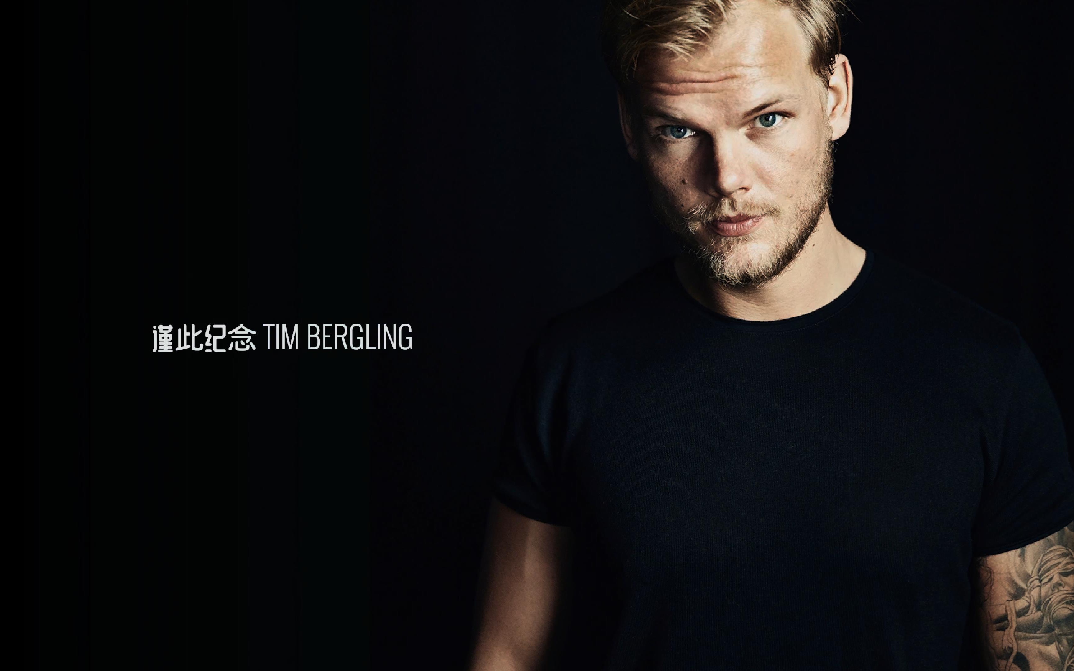 avicii invector sos 纪念