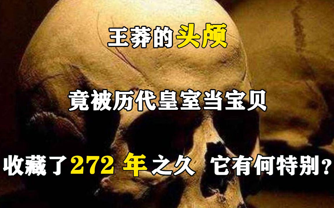 王莽的头颅竟被历代皇室当宝贝,收藏了272年之久,它有何特别?哔哩哔哩bilibili