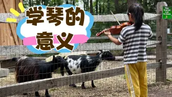 下载视频: 🎶学音乐、学琴的【意义】🤔，到底是什么❓受到自家学生“对羊拉小提琴”的启发，你们觉得学音乐（乐器）的意义是什么？