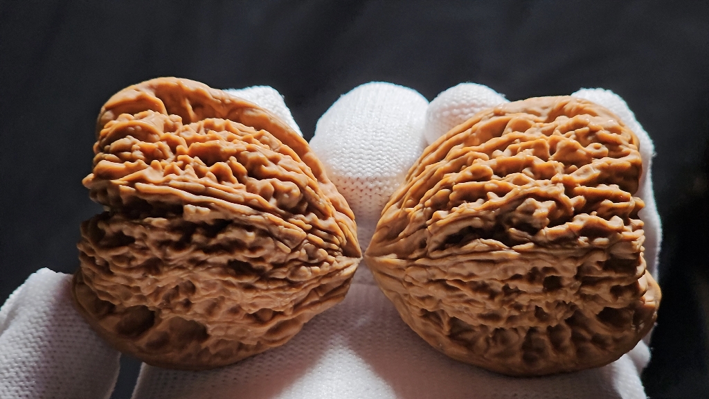 极品涿鹿南疆石,姜黄皮山地老树42尺