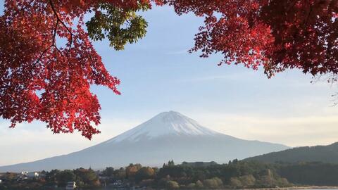 富士山河口湖红叶 哔哩哔哩