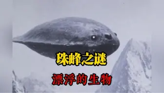 珠峰之谜“漂浮的大气生物”