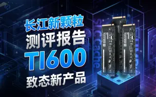 Download Video: 长江存储致态 Ti600 固态硬盘评测报告，具有性价比的PCie4.0？QLC颗粒到底行不行？