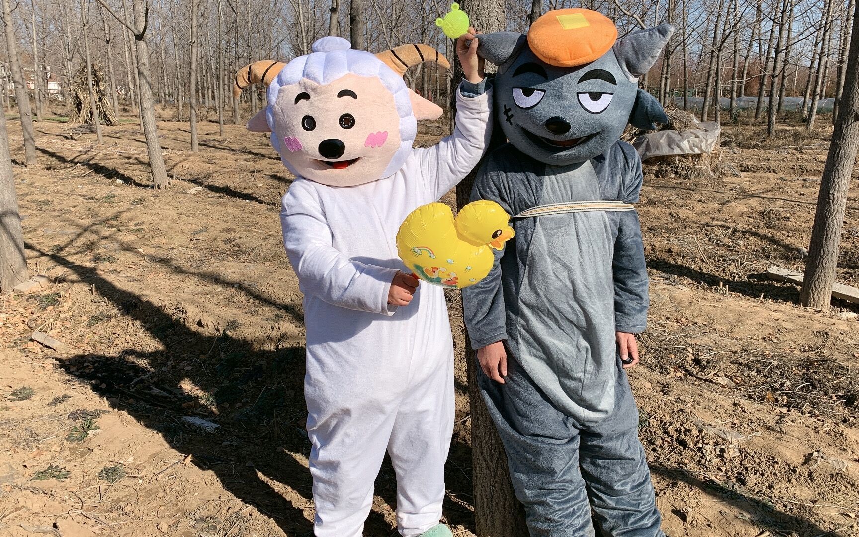 喜羊羊与灰太狼,灰太狼拿着绳子去抓懒羊羊,结果他被绑树上了