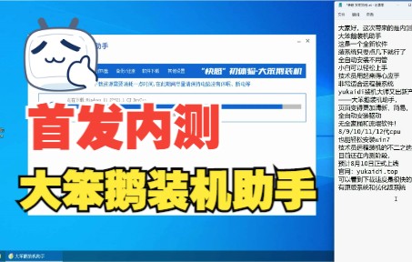 全网首发内测 大笨鹅装机助手评测 一键重装系统 远程自动安装系统 小白装系统 yukaidi装机大师 技术员专用装系统哔哩哔哩bilibili