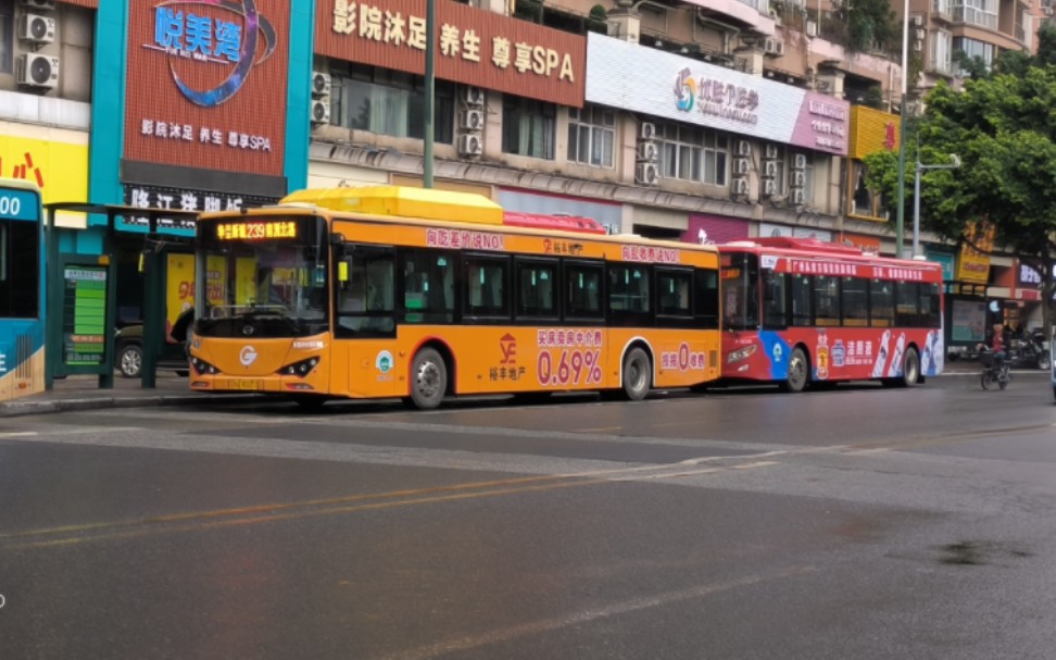 575)广州公交239路k9fe全程pov(南洲北路→华景新城)3-52018