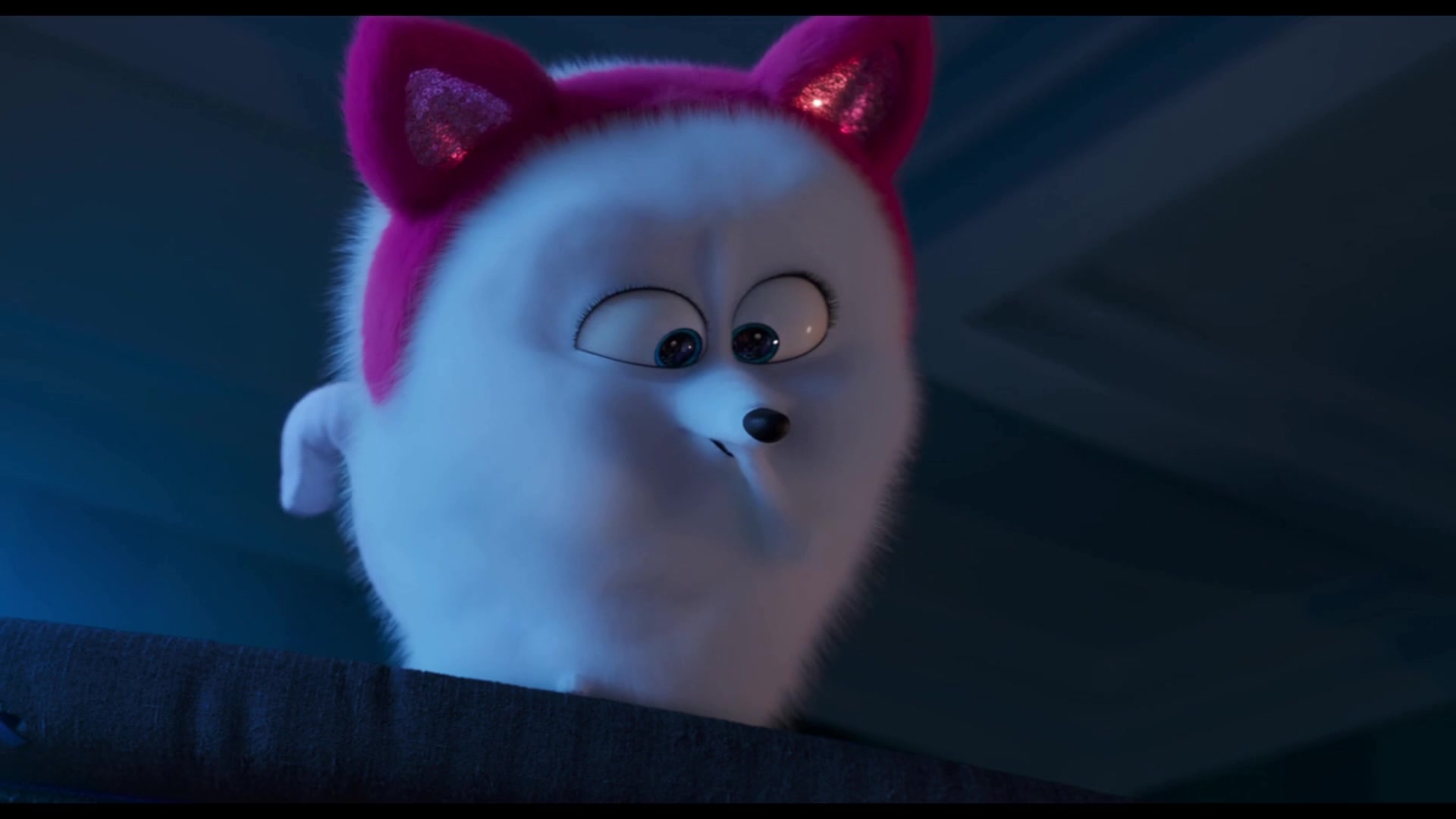 爱宠大机密猫系女王