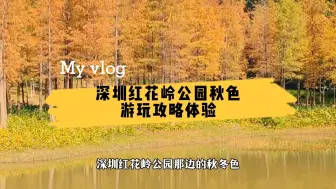 Download Video: 深圳红花岭公园，落羽杉秋意盎然，带您去看看深圳特有的秋冬色彩