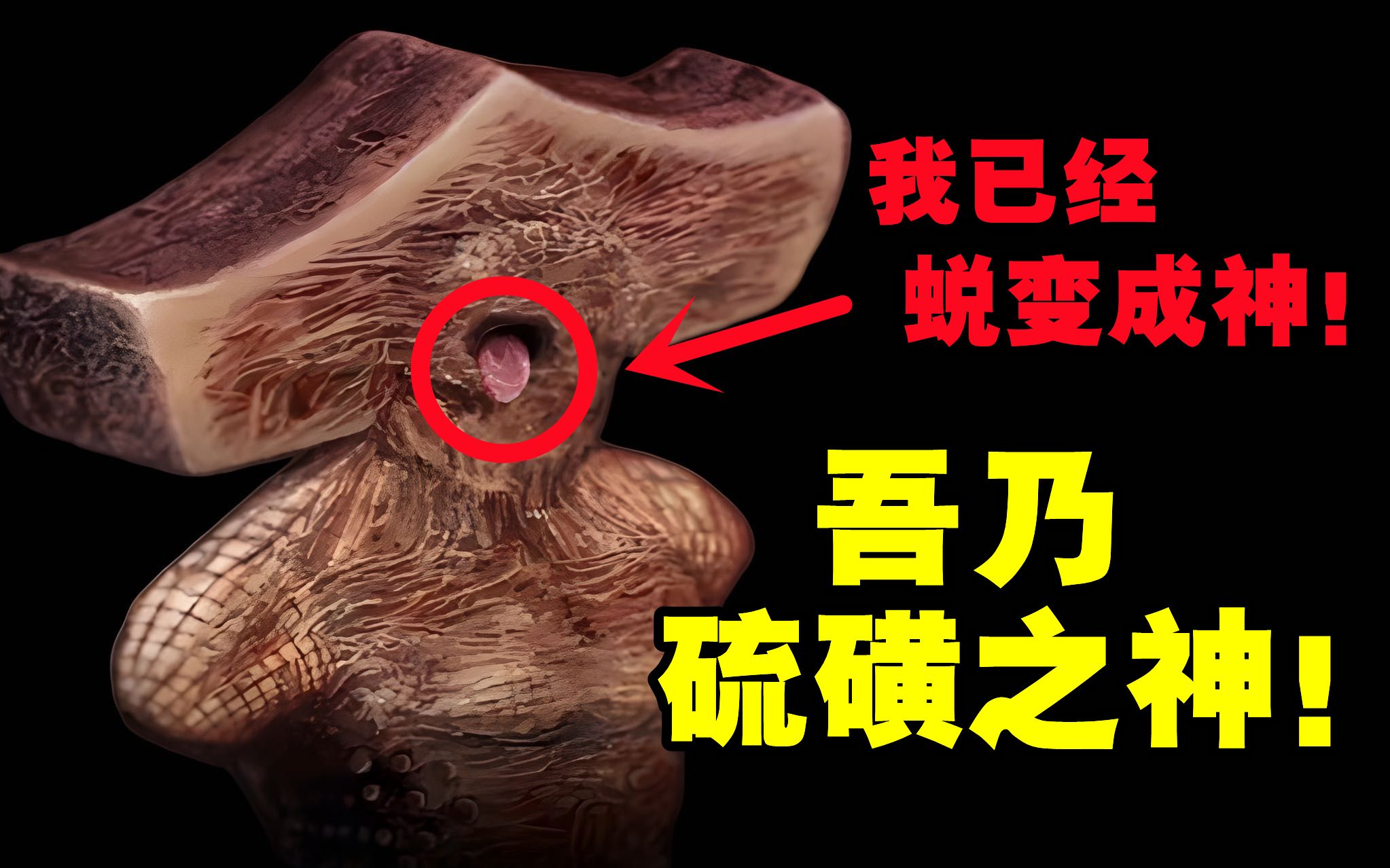 【恐惧与饥饿2:termina】硫磺之神结局