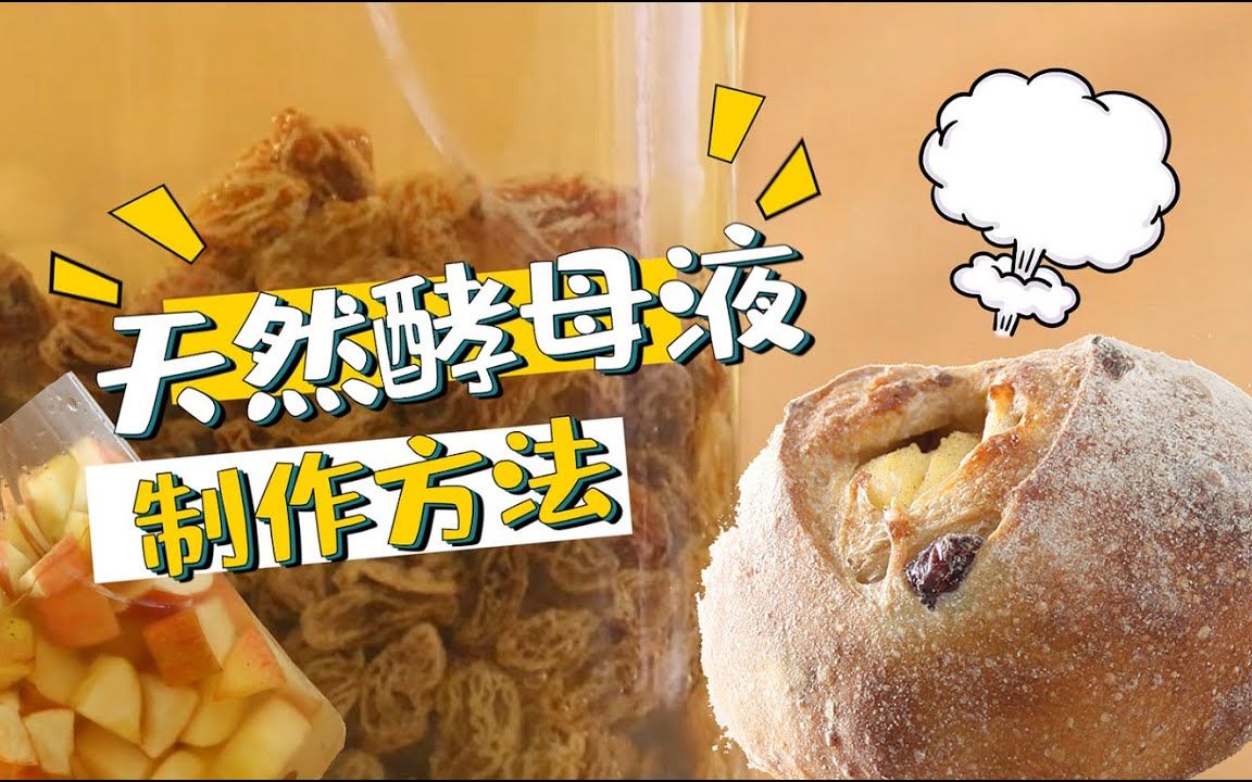 世界面包大赛“水哥”,教你面包制作必不可少的3种天然酵母种,天然水果酵母种制作,天然酵母种哔哩哔哩bilibili