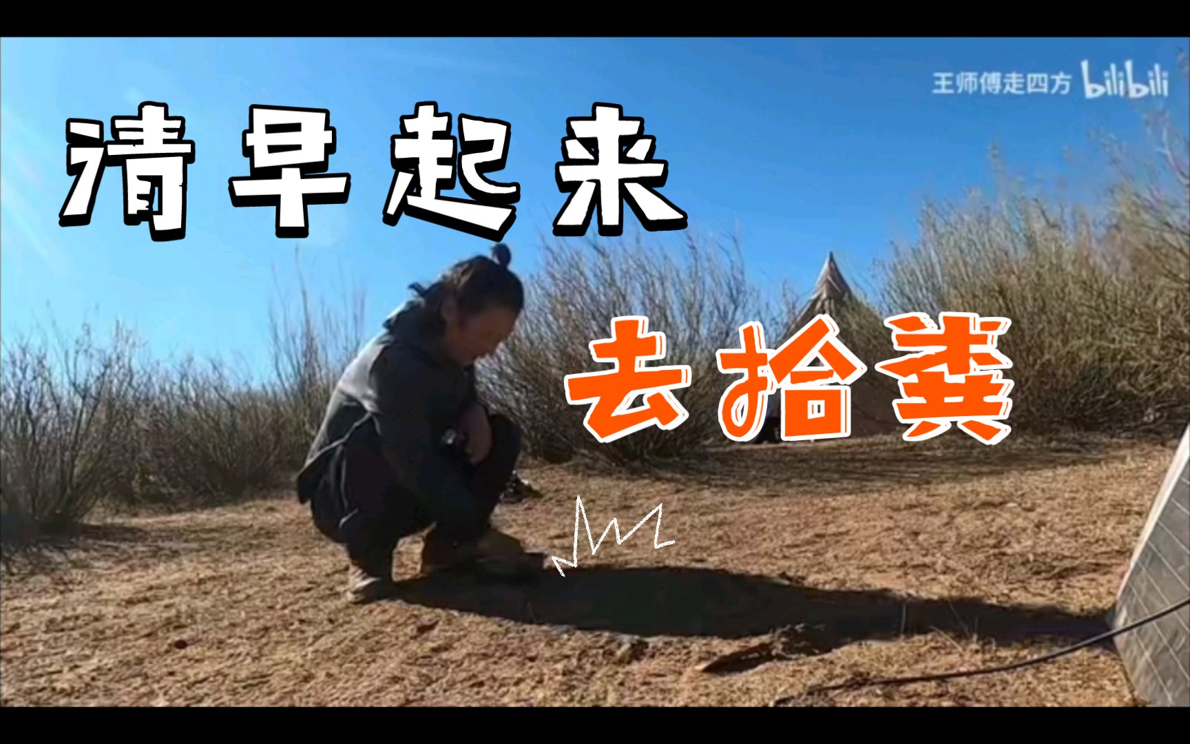 清早起来去拾粪!—@王师傅走四方 日常任务