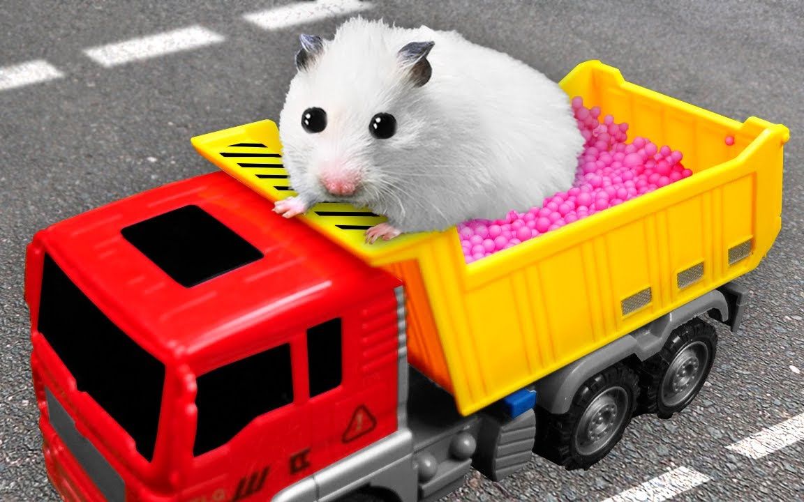 爱玩的小仓鼠:小仓鼠逃亡大作战,仓鼠在卡车上逃脱宠物迷宫!