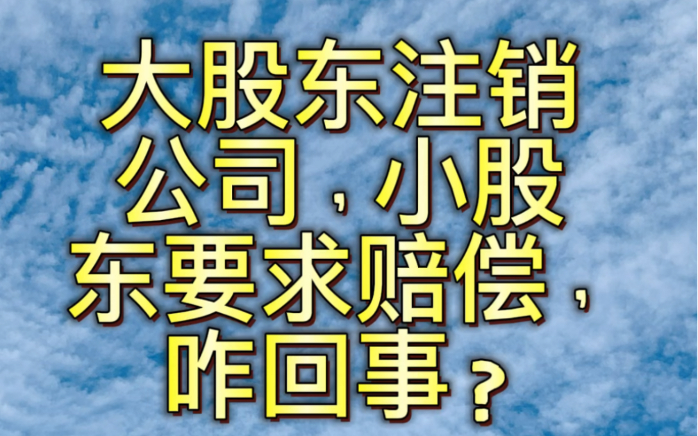 大股东注销公司,小股东要求赔偿,咋回事?哔哩哔哩bilibili