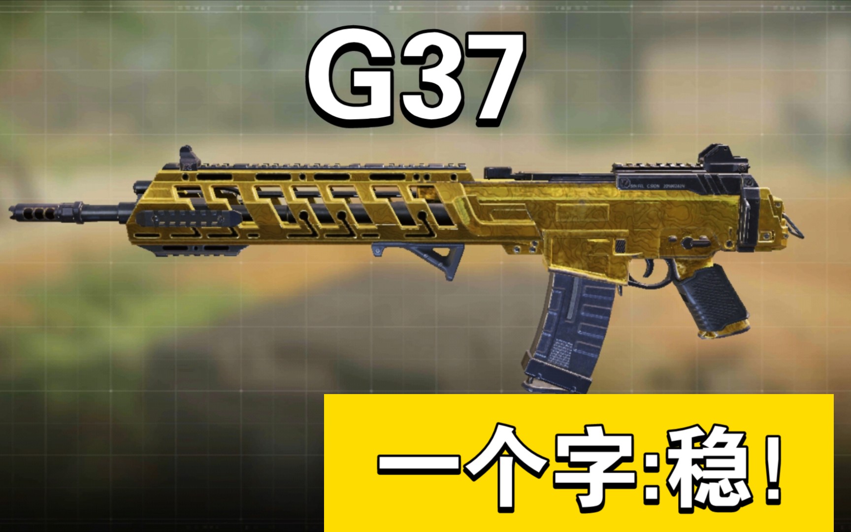 g37枪原型图片