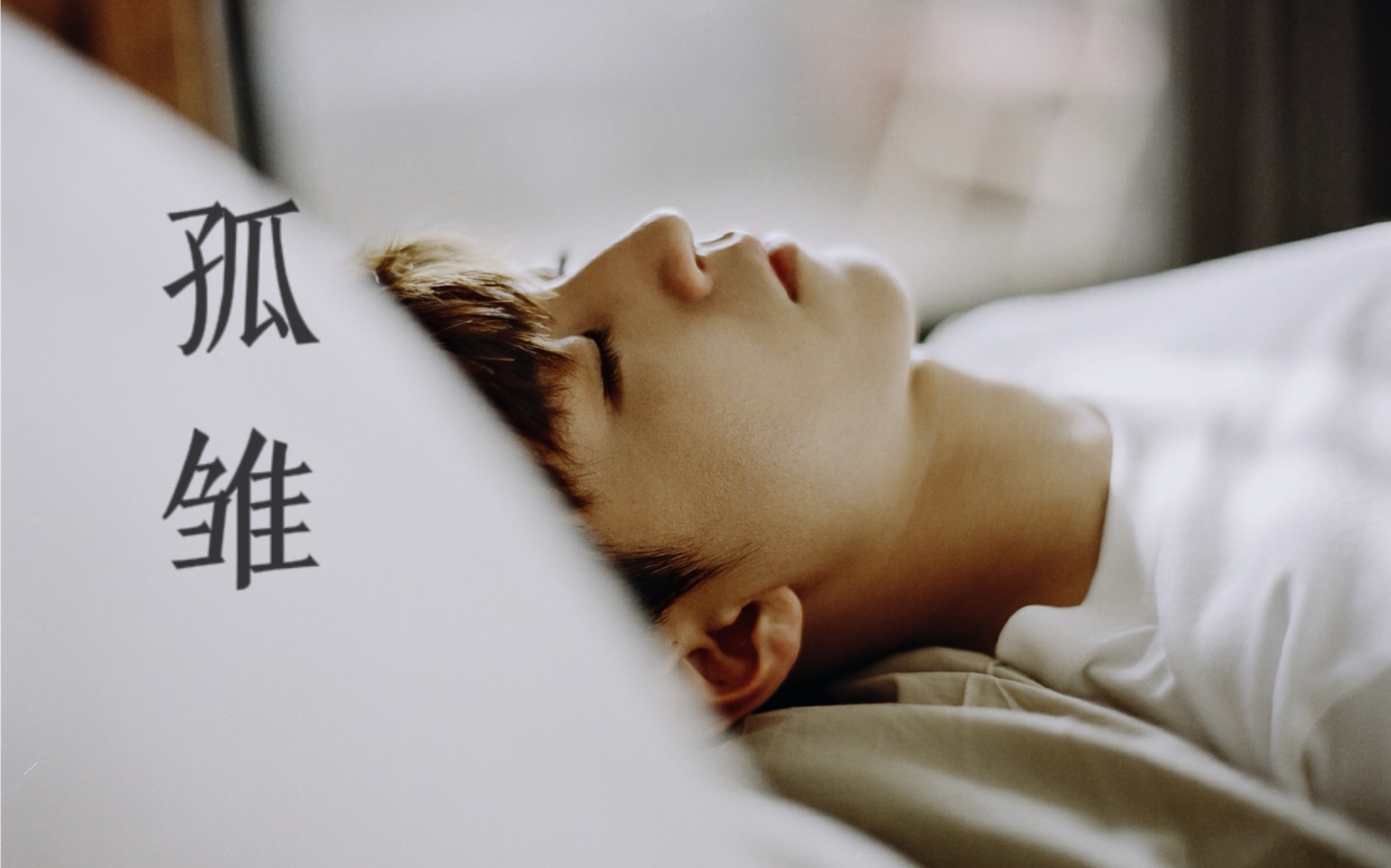 【AI王俊凯翻唱】孤雏（AGA）-猫耳炮弹-猫耳炮弹-哔哩哔哩视频