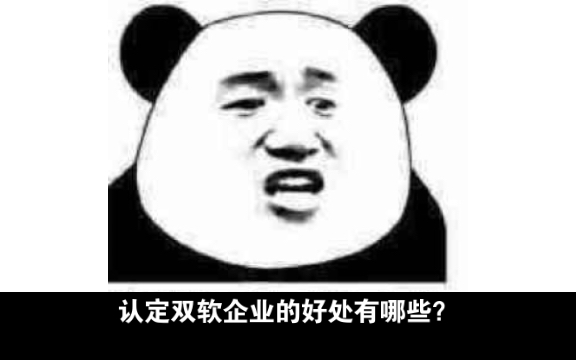 认定双软企业的好处有哪些?哔哩哔哩bilibili