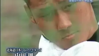 火腿铁壁 外场守备美技 2 糸井嘉男选手 哔哩哔哩 Bilibili