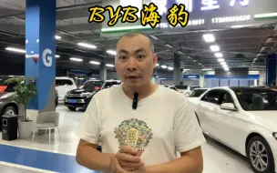 Download Video: 二手比亚迪海豹BYD海豹