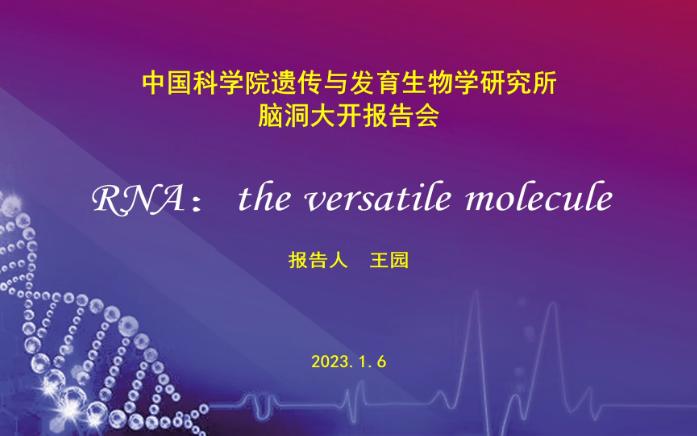 RNA:the versatile molecule来自中科院遗传发育所王园研究员的分享哔哩哔哩bilibili