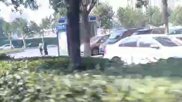 城市道路上独特的风景线哔哩哔哩bilibili