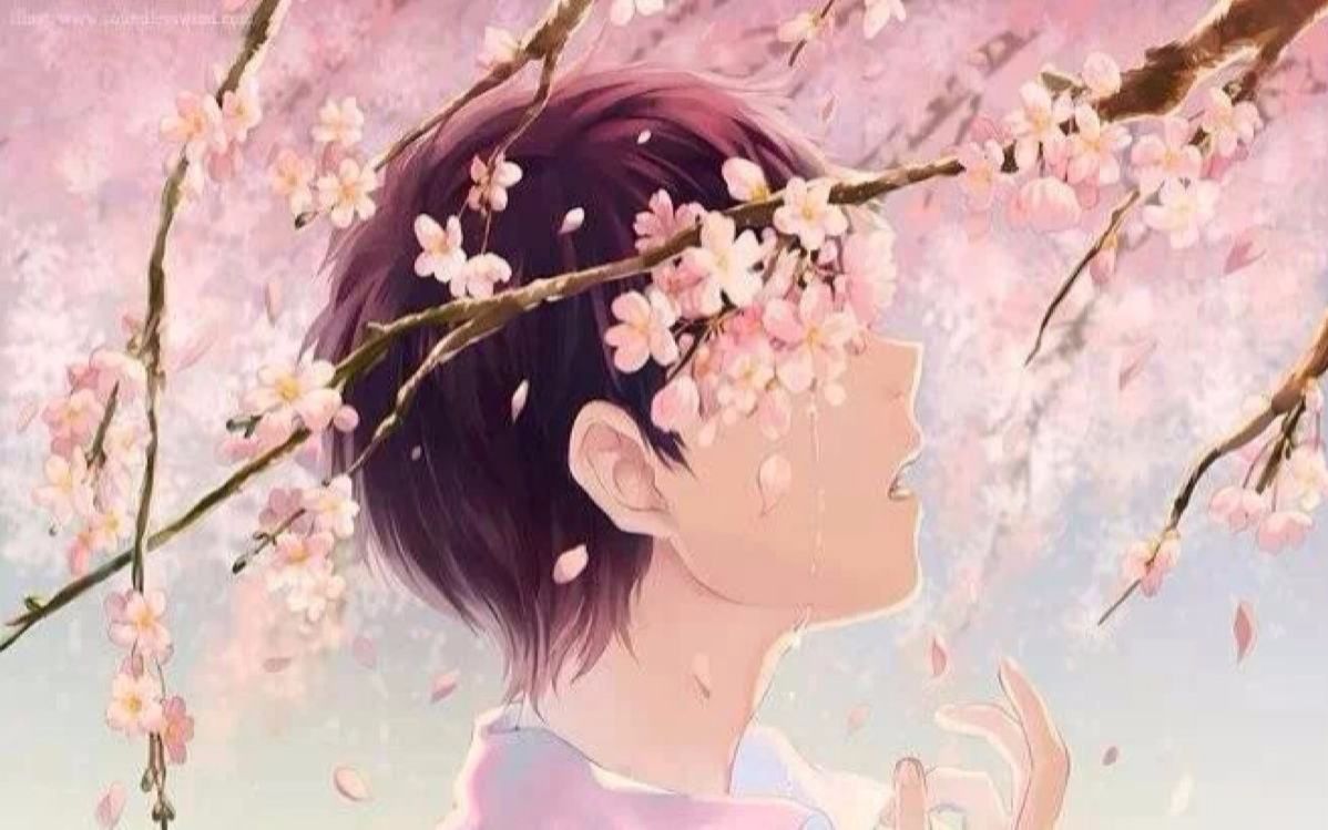 [图]【东尼指弹】樱花泪（Sakura Tears）--这首好听的音乐有吉他版本啦~！