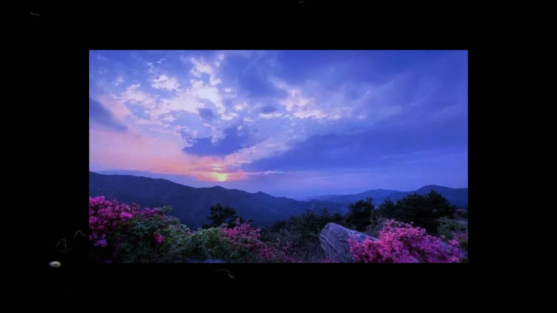 [图]那些美丽的风景！！