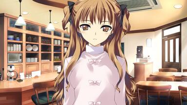 【非売品】WHITE ALBUM 如月小夜子 ロング サイズ ポスター maxresdefault.jpg