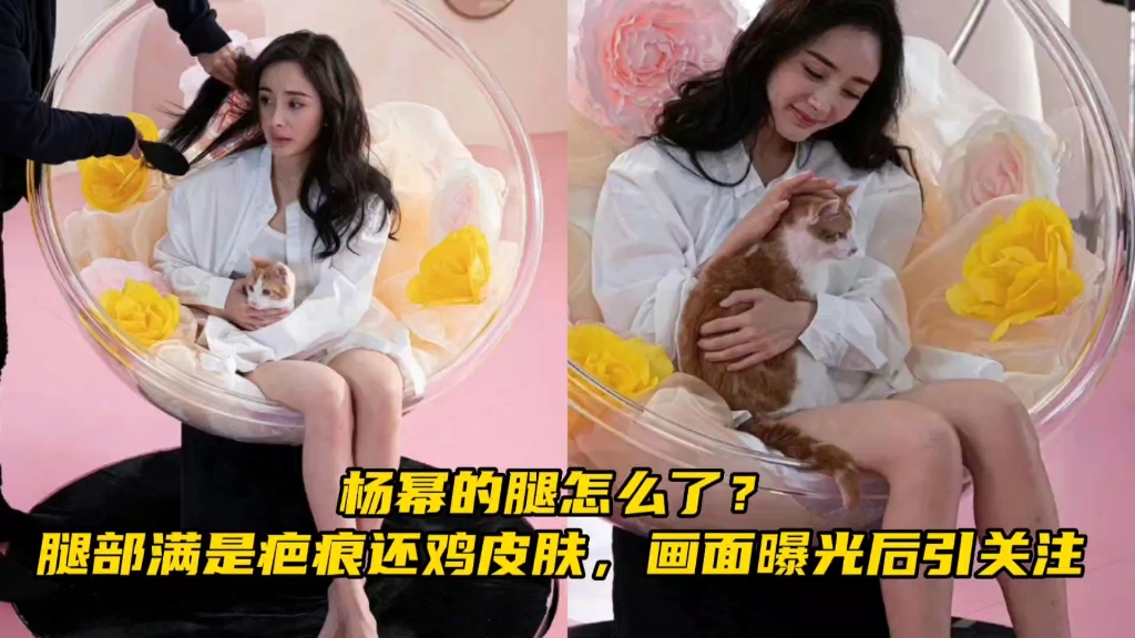 杨幂的腿怎么了?腿部满是疤痕还鸡皮肤,画面曝光后引关注