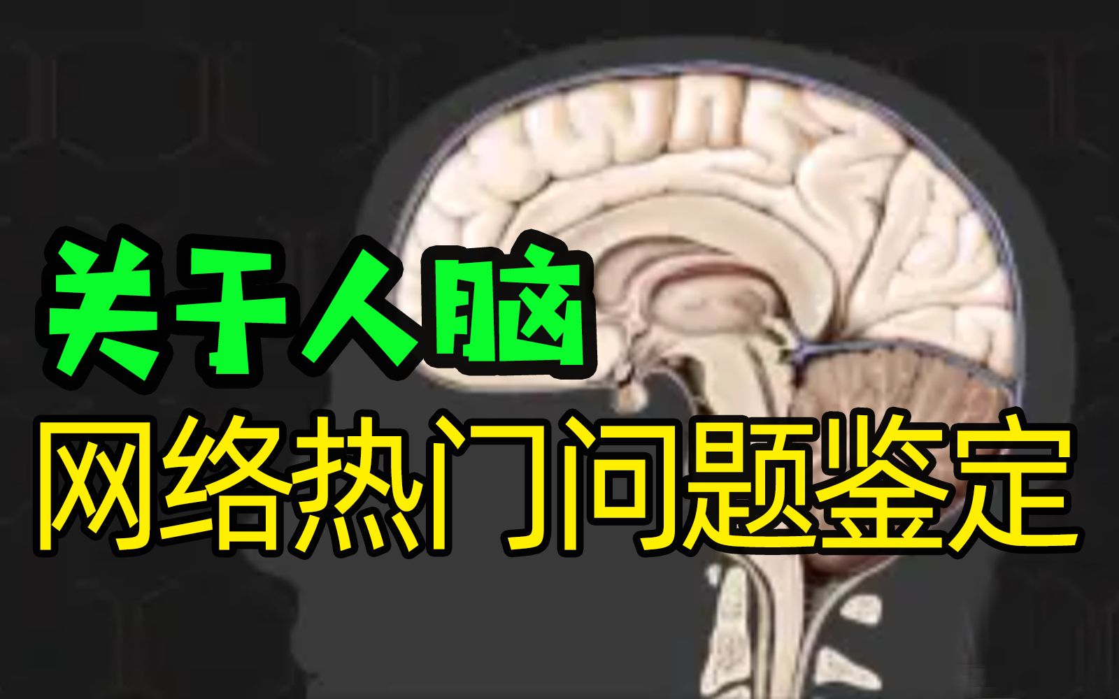 关于人脑,网络热门问题鉴定【浙大包爱民】哔哩哔哩bilibili