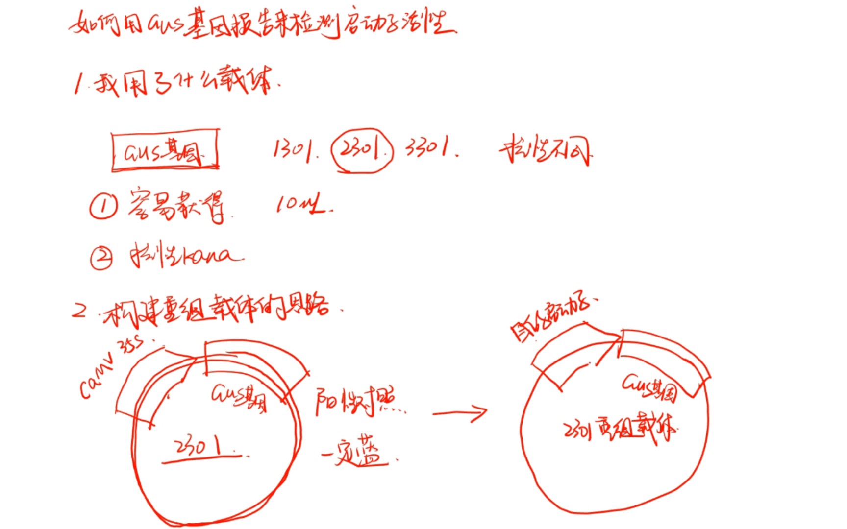 师姐小课堂如何利用GUS基因报告检测启动子活性哔哩哔哩bilibili