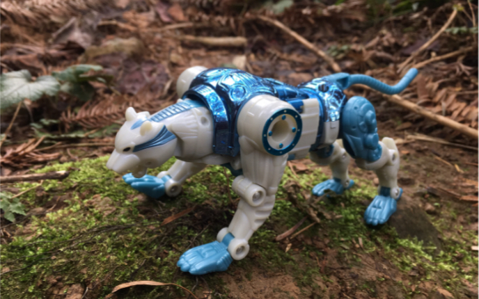 bw超能勇士botcon金属变体白虎掠夺兽