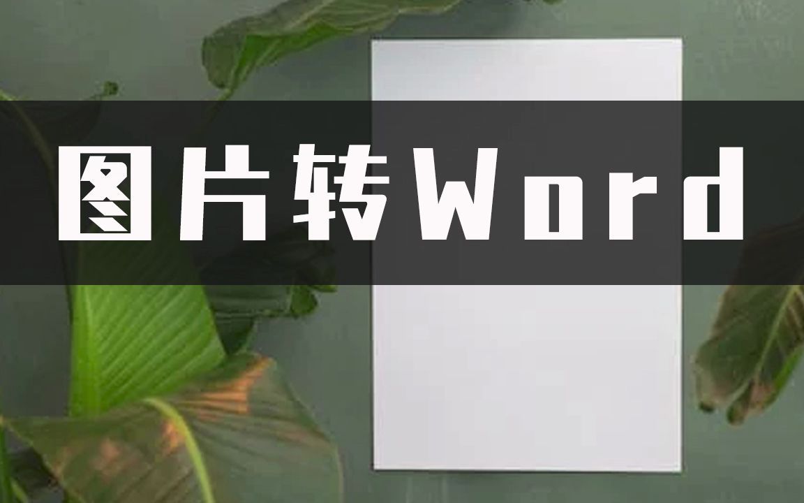 图片如何转WORD?十秒学会一招图片转word方法哔哩哔哩bilibili