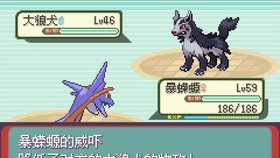 口袋妖怪绿宝石无耻过四大天王打法 塔利班队 哔哩哔哩 つロ干杯 Bilibili