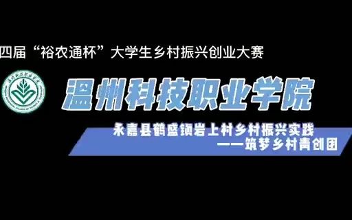 “裕农通杯”第四届大学生乡村振兴创意大赛哔哩哔哩bilibili