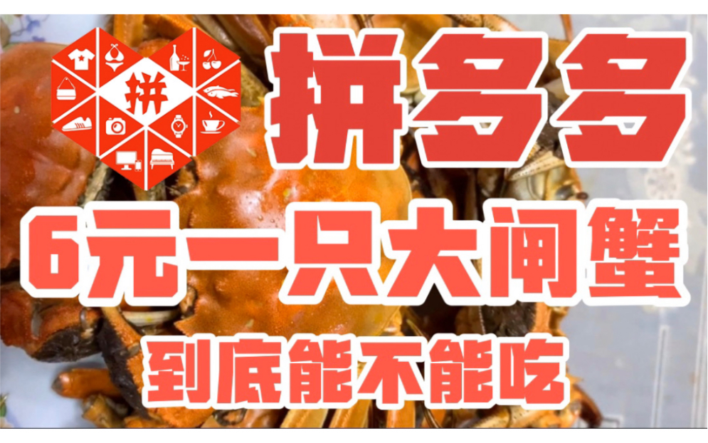 没吃过大闸蟹的小伙在拼多多60元买了10只,会翻车吗?哔哩哔哩bilibili