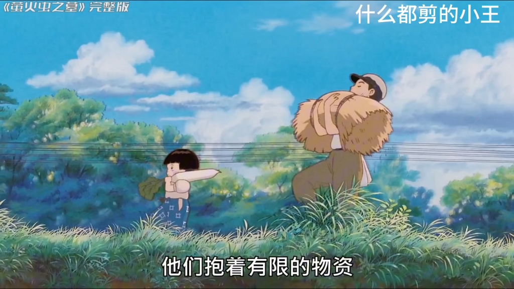 萤火虫之墓    额，挺好哭的！