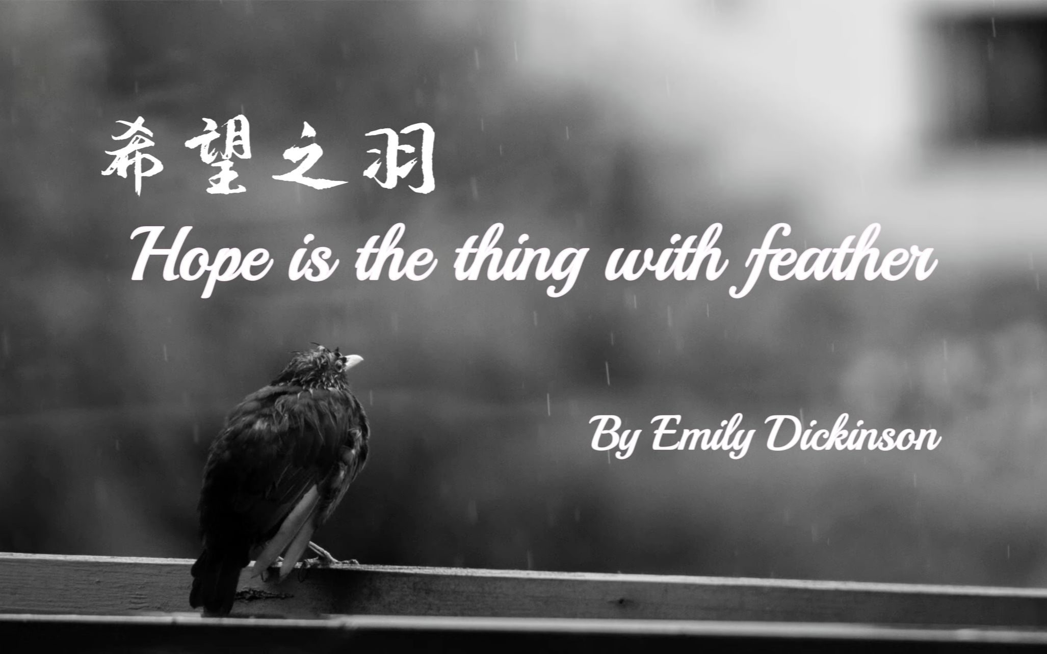 [图]【Shin夜读诗】Hope is the Thing with Feathers (by Emily Dickinson)【熟/Josuiji Shinri】