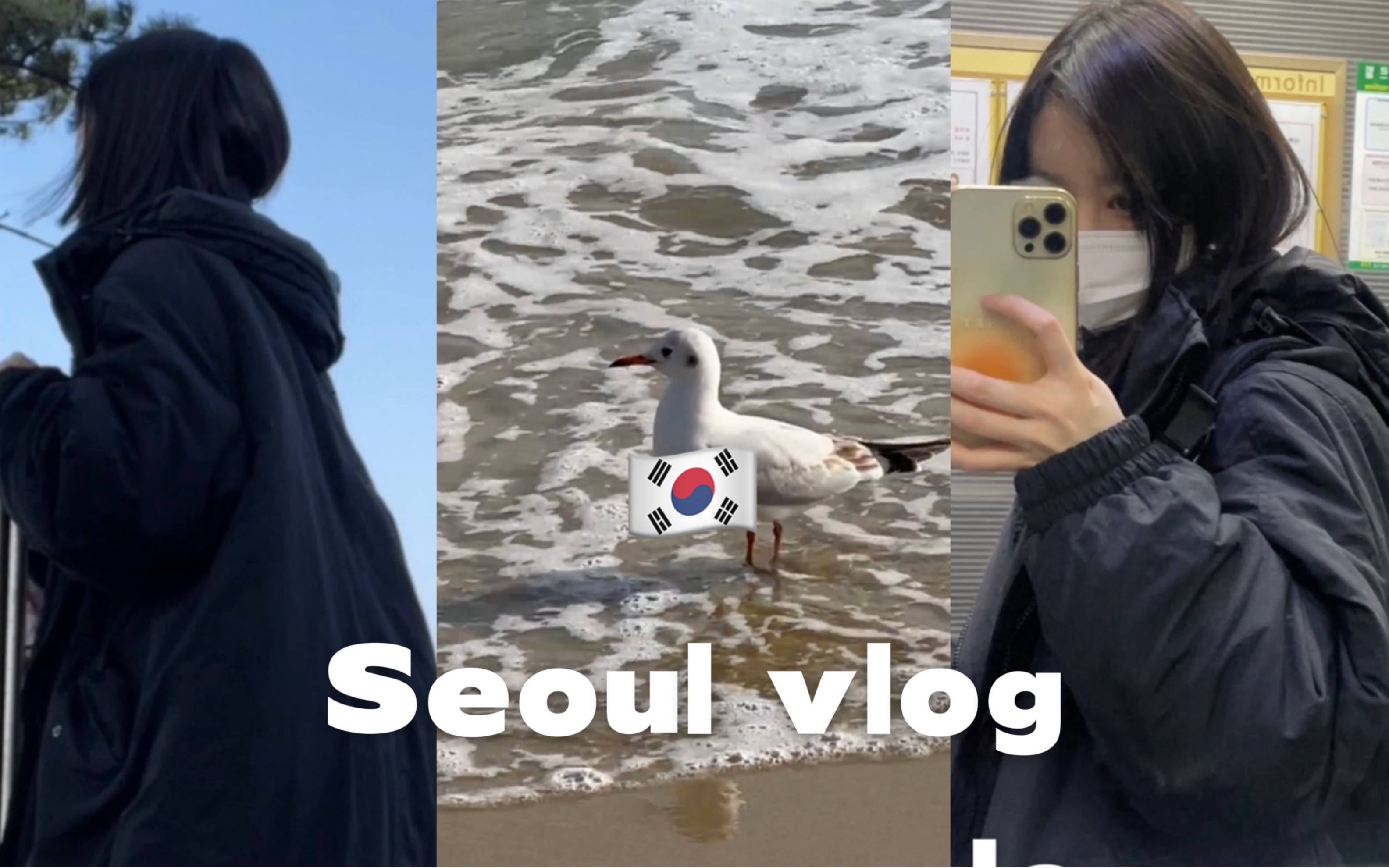 韩国留学vlog|一个人的釜山旅行日记day1哔哩哔哩bilibili