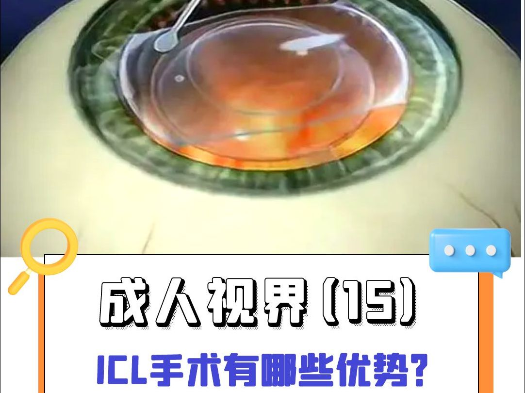 成人视界(15)哔哩哔哩bilibili