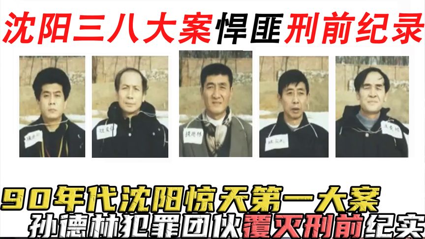 九十年代沈阳第一大案,残害24人,孙德林犯罪团伙覆灭刑前记录.