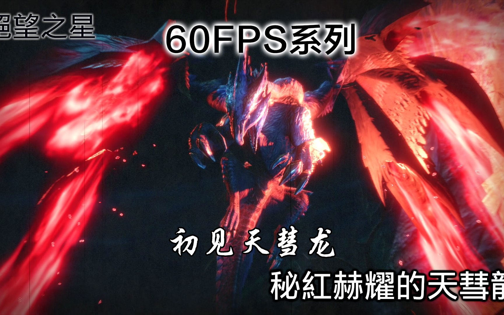 mhr60帧双刀巨真实初见银翼凶星