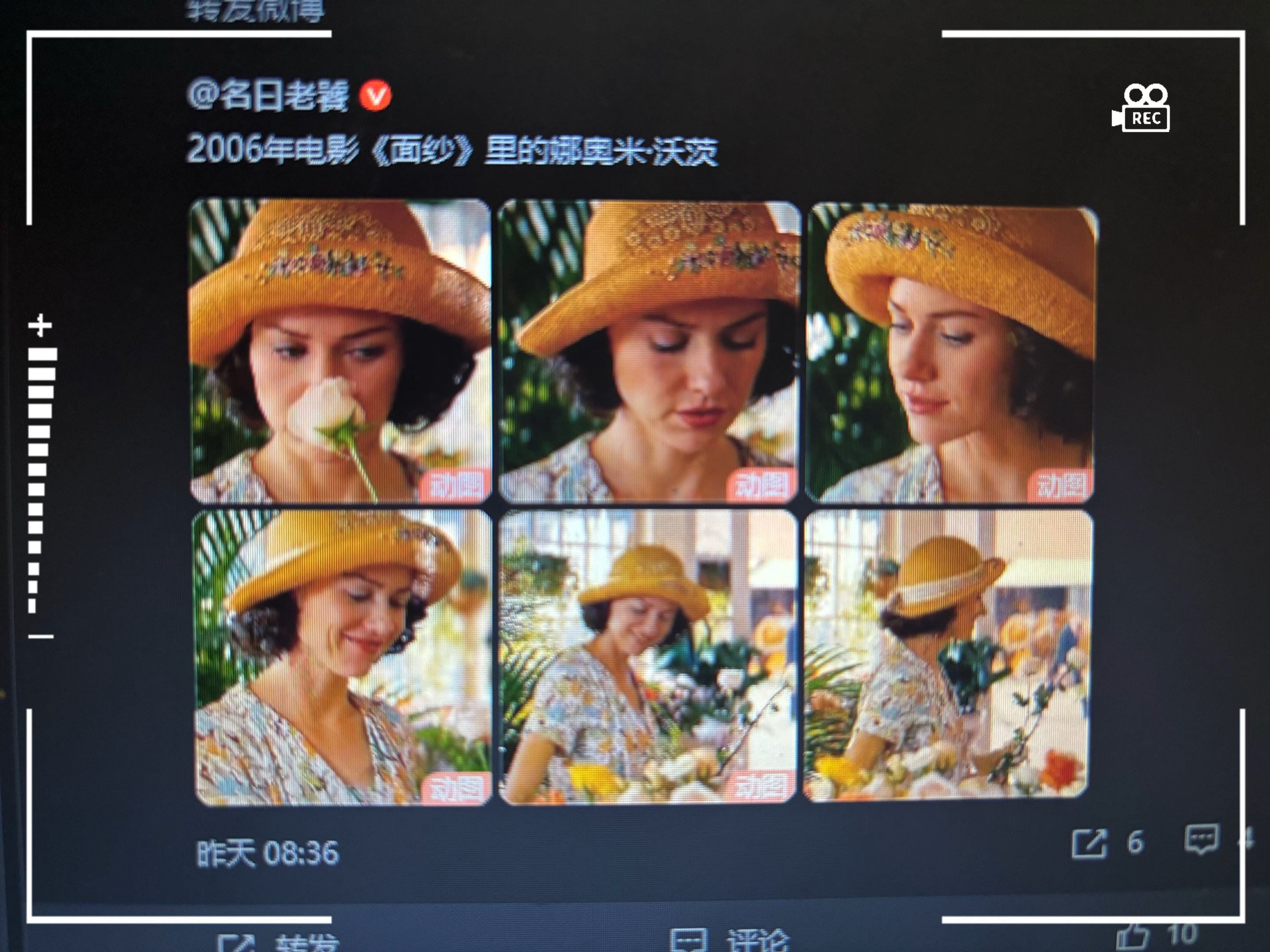 面纱 娜奥米沃茨