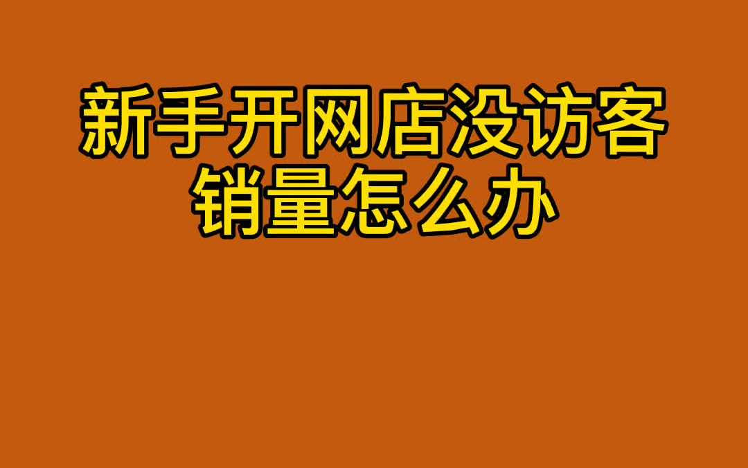 新手开网店没有访客销量怎么办哔哩哔哩bilibili