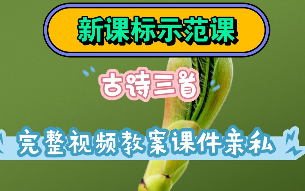 [图]古诗三首《元日、清明、九月九日忆山东兄弟》新课标示范课【有课件教案】